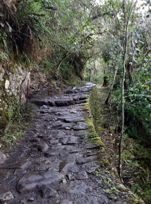 Machu Picchu Inca Trail