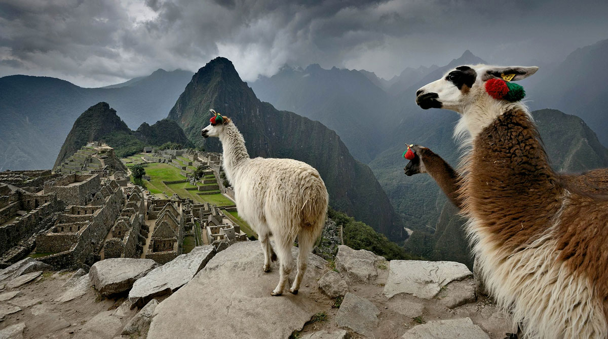 Private Guide Service in Machu Picchu from Aguas Calientes